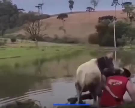 💋This Romantic Moment Took a Hilarious Turn — Wait for It!🐄