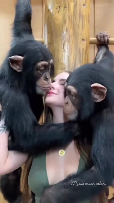 Happy Monkeys